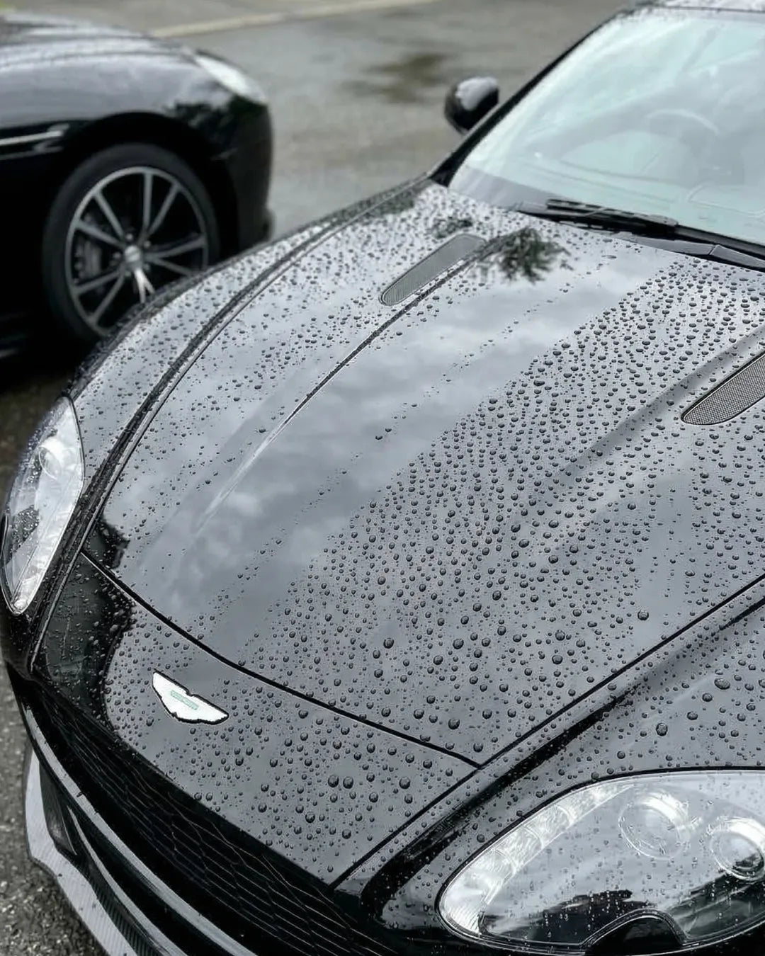 Perfect water beading on a glossy black car hood showing paint protection.