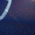 Vonixx Blend Ceramic Carnauba Wax delivering deep mirror-like gloss on vehicle clear coat